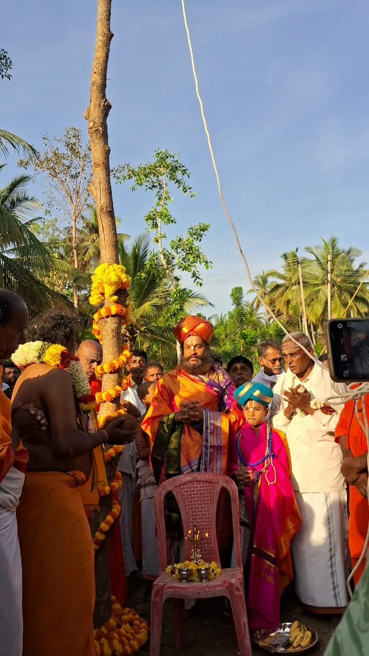 A tree wound with marigold garlands being worshipped in the open, the vaidikas and the family standing around it in the morning sun