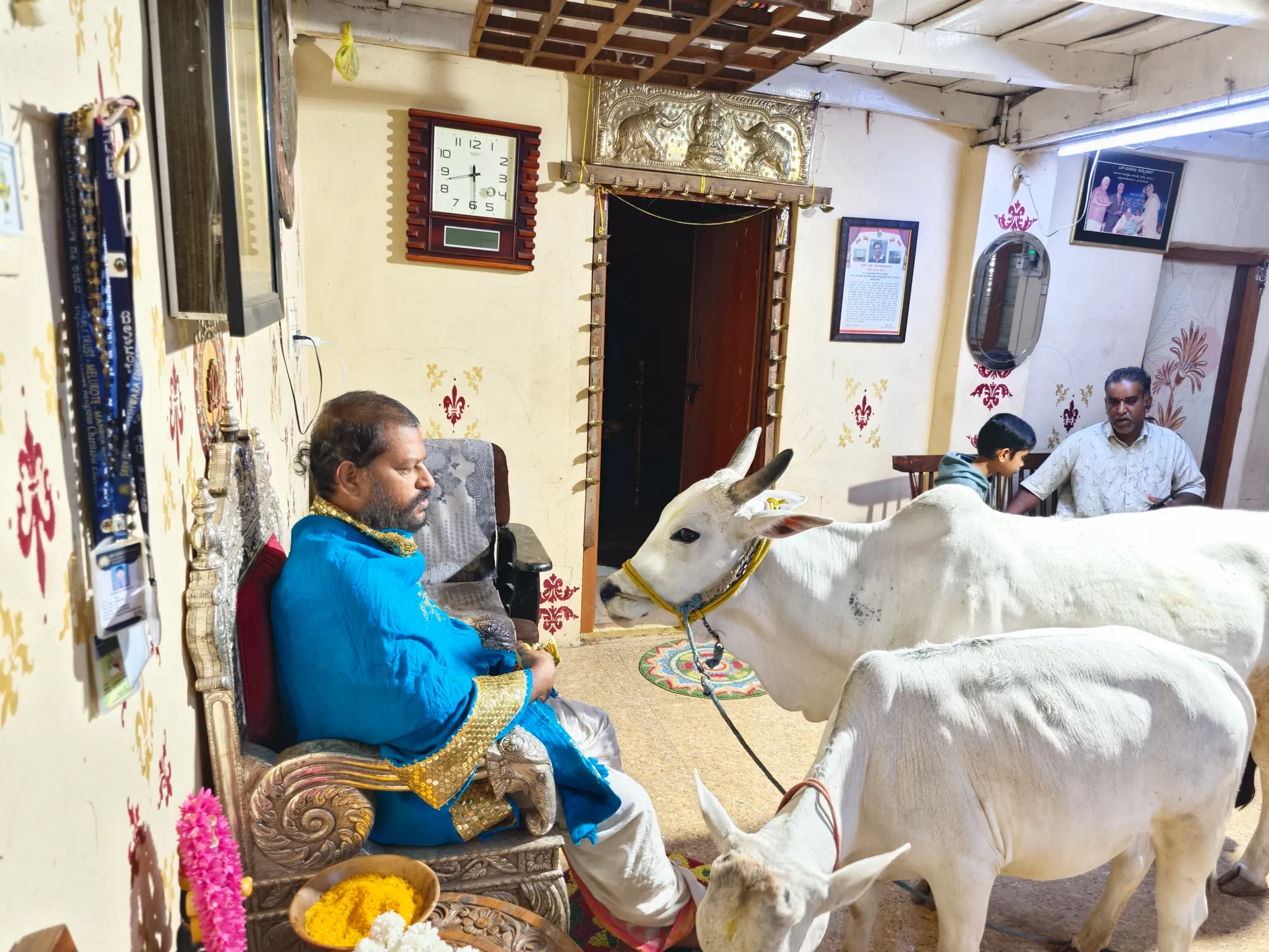 A cow and her calf led into the mandira and standing on the rangoli before the seat, haltered and garlanded, while the household looks on