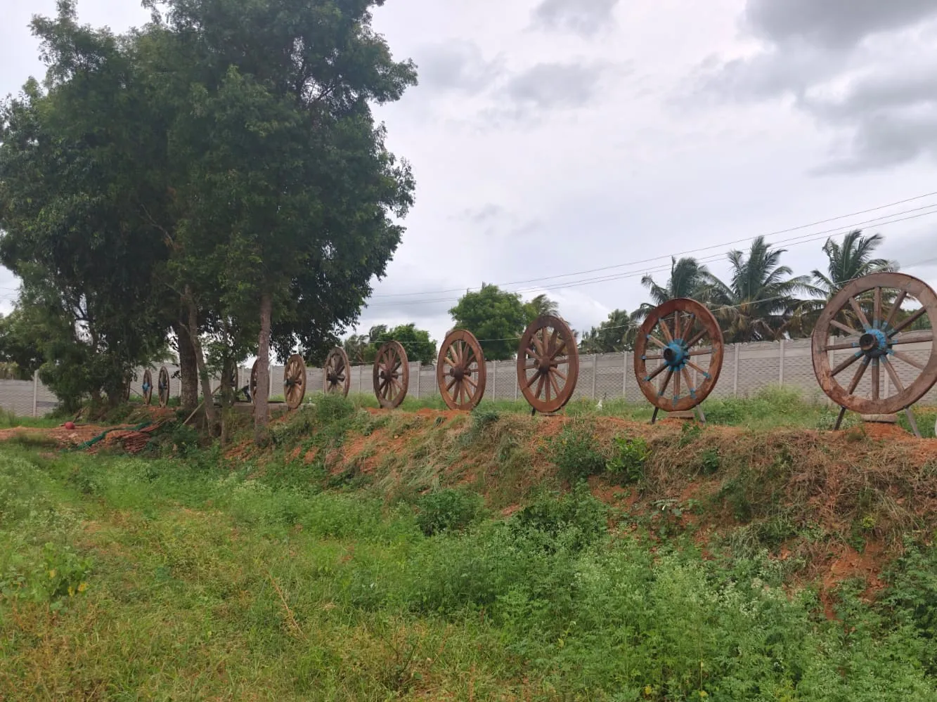 A row of tall wooden cartwheels standing along a bank of red earth at Srisha Farms, thick green ground cover in front of them and coconut palms and a compound wall behind, under a grey monsoon sky