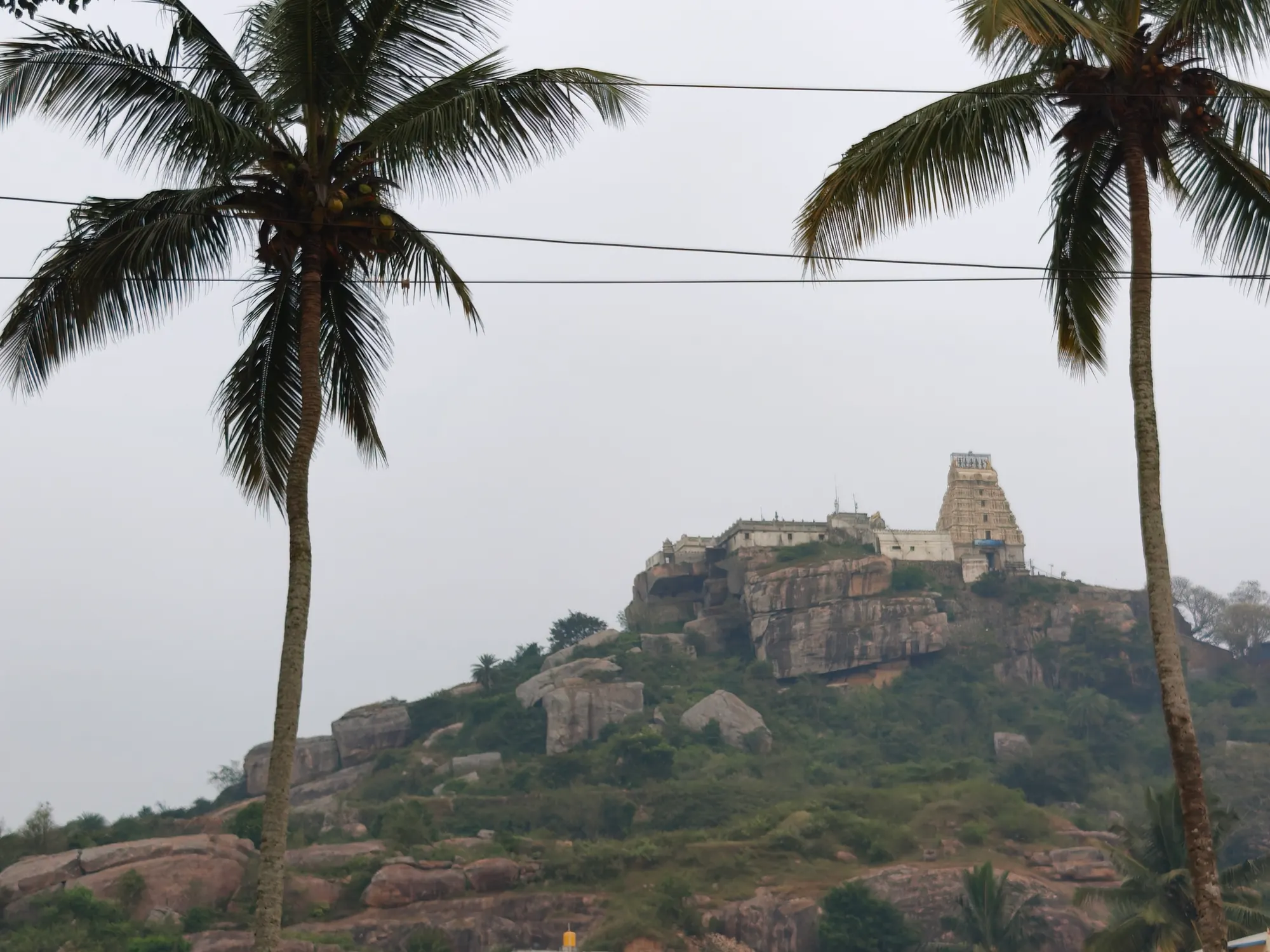 The Yoga Narasimha temple standing on its rocky hilltop above Melukote, seen from the town below between two coconut palms on an overcast morning